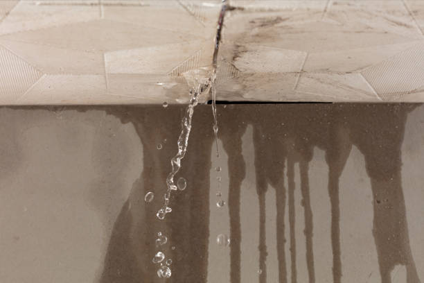 Professional Burst Pipe Cleanup technician working in London, WV